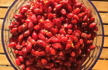 Chalet Rouge Sorbier - Foto 42