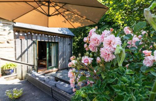 Penbanc Bach - Foto 11