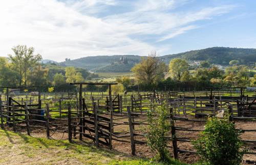 Appartamento Elisa, immerso nella natura e vicino a Firenze - Foto 38