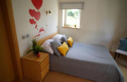 Casa Do Colipo - Photo 18