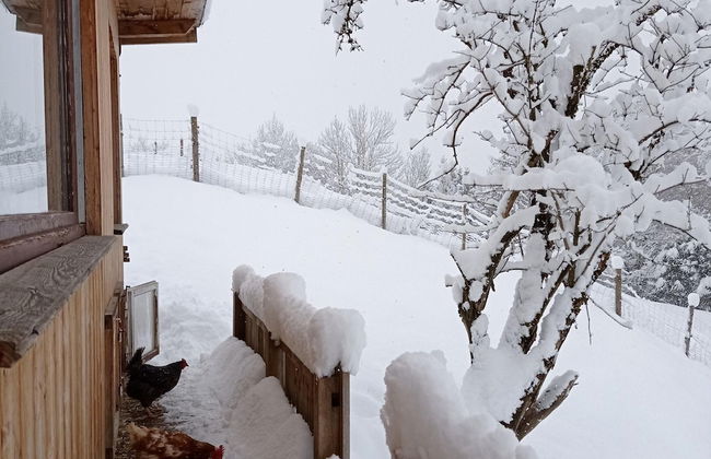 Rossweid hut With a Fantastic View - Foto 30