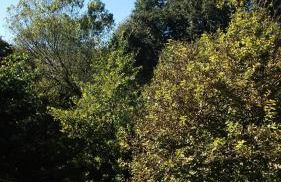 Can Salgueda - Photo 26