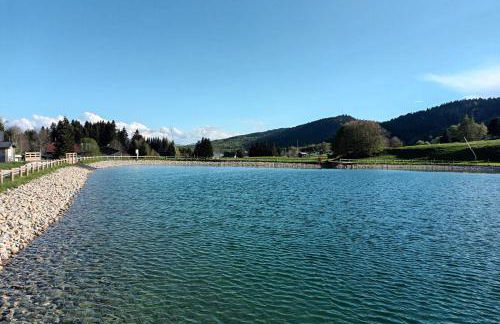 Spacieux appartement au pied des pistes - Foto 51