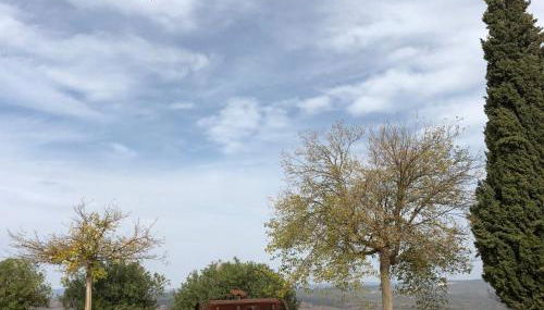 Finca San Andrés - Foto 5