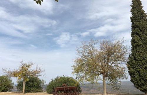 Finca San Andrés - Foto 5