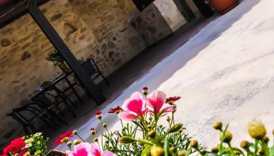 Antonia’s Home Alfa Village - Foto 2