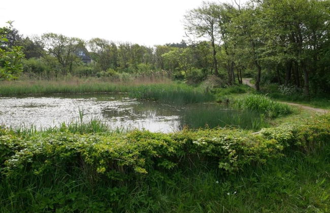 Timeless Charm and Cozy Stay - Photo 33