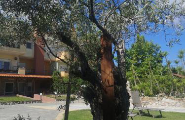 Makis Nest Apart-Hotel - Foto 50