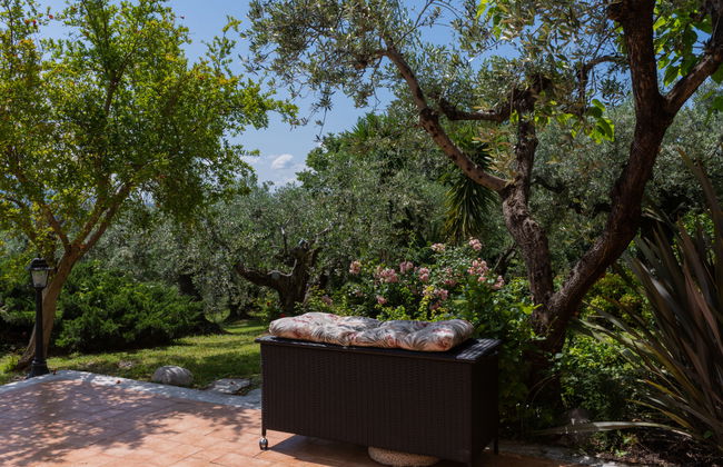Olive Grove Sabina - Foto 41