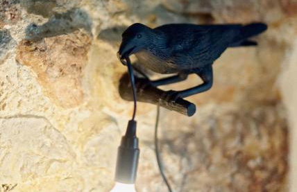 Parc Farm Cottage, Flintshire, North Wales - Foto 23