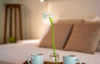 Agriturismo Cascina Carai - Foto 63