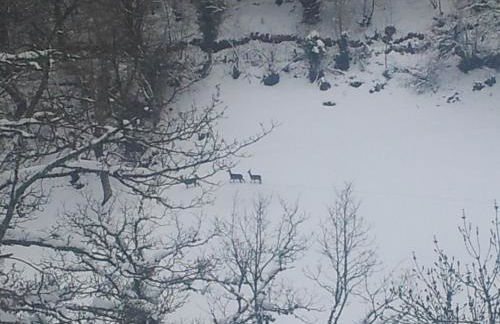 Venta la Aurora - Foto 13