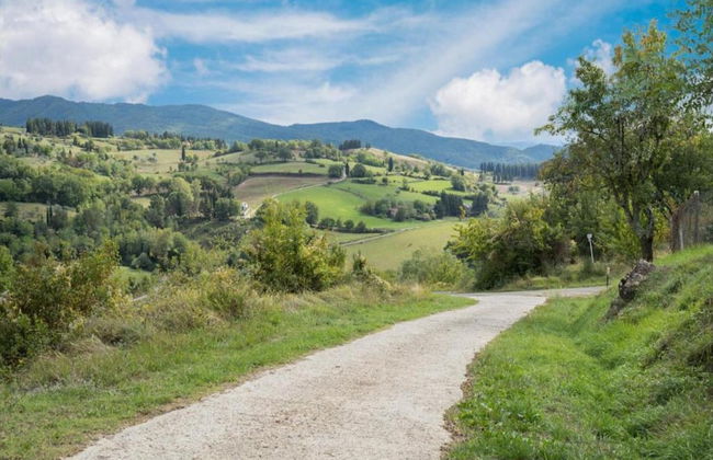 Agriturismo Poggio di Montepescoli - Il Ciliegio - Foto 37