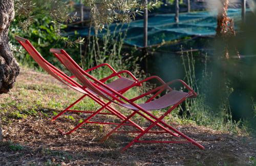 La Minucciola - Photo 38