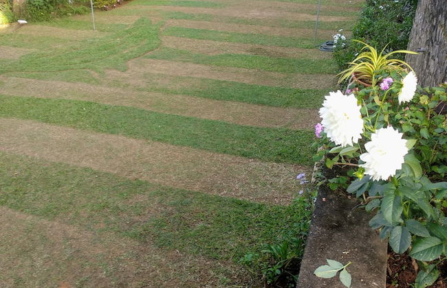 Windsor Forest Bungalow - Photo 29