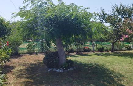 Meteora countryside villa - Foto 65