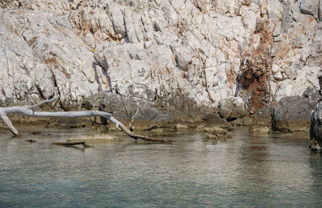 Maestralia - Foto 46