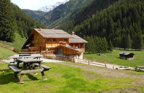 Maso Coler - Foto 51