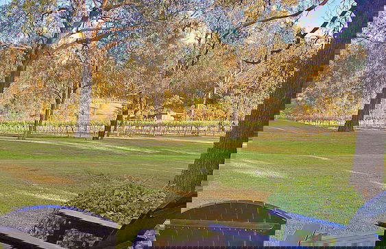 McCaffrey's Estate - Photo 19