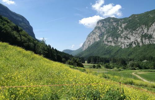 AGRITURISMO MASO PERTENER -adults friendly- - Foto 34