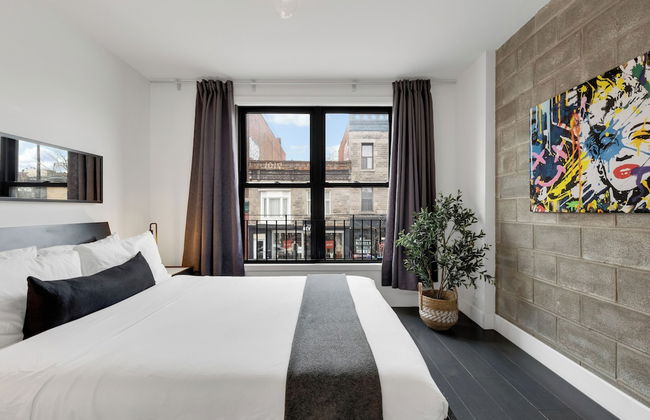 Liv MTL - Plato - Foto 41