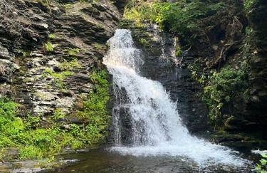 The Flying Dutchman Cottage in amenities filled Masthope community Ski Big Bear - Foto 27