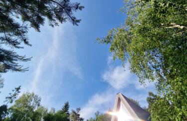 Budzi nas las Marcyporęba - Duży domek - Photo 36