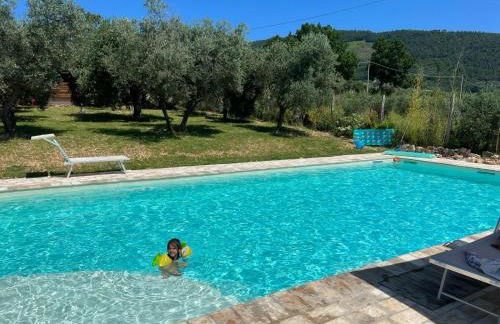 Uliveto Benedetti - Foto 10