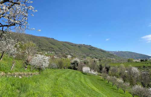 La Casetta in Costa - Foto 18