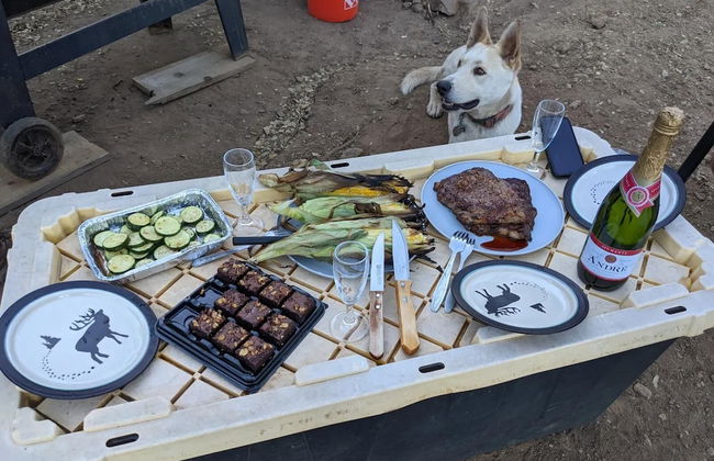 Off-grid 1-bed Cabin in Yokuts Valley - Foto 11