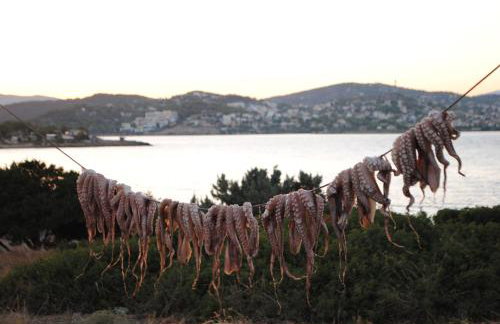 Villa Serenity - Foto 67