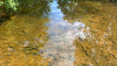 THE VILLA Farm Sleeps 20 more - Foto 4