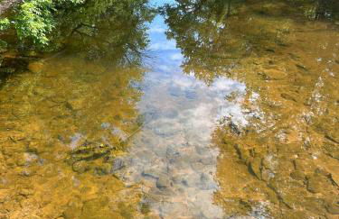 THE VILLA Farm Sleeps 20 more - Foto 4