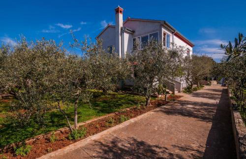 Apartments Cvita Ugljan - Foto 37