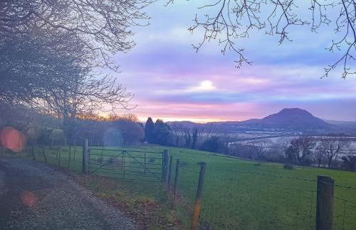 Bron Madog - Foto 28