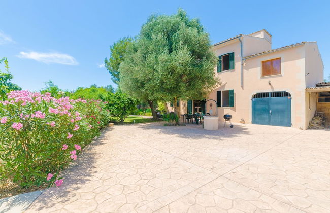 Hort De Can Bou in Porreres - Foto 10