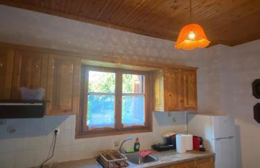 Zirganos Horton Pelion Apartment 2 - Foto 12