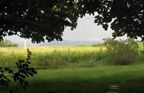 Appartement 3 Avec Deux Chambres - Foto 16