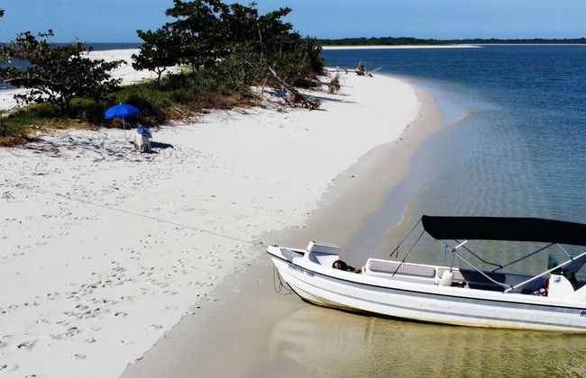Avvistamento di delfini all'isola di Marambaia - Foto 3