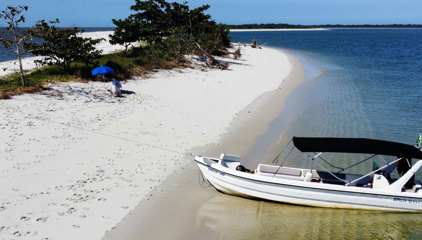 Observation de dauphins sur l'île de Marambaia