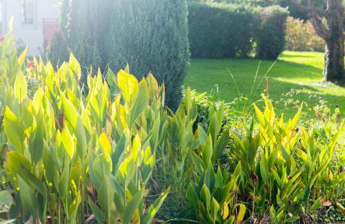 Domaine de Bordaberry - Jardin & superbe piscine - Foto 55