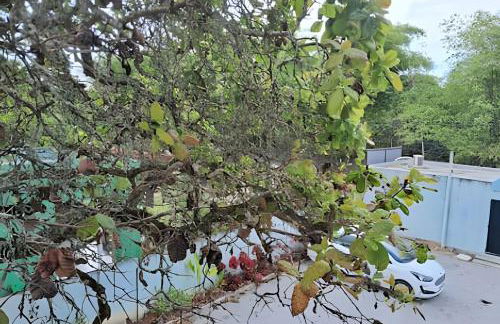 Refugio Aldeia dos Camarás - Foto 26