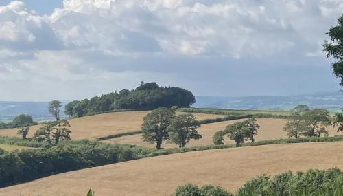 The Cabin at Barnstormers, luxury woodland setting - Foto 4