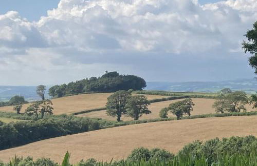 The Cabin at Barnstormers, luxury woodland setting - Foto 4