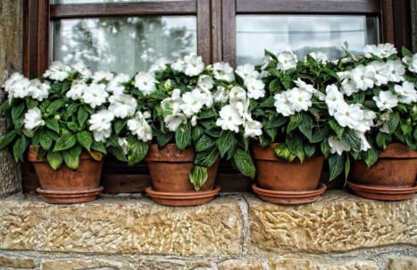 Casa Rural Los campos - Foto 32