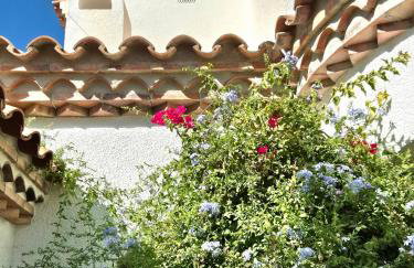 Casa Buganvilla - Foto 37