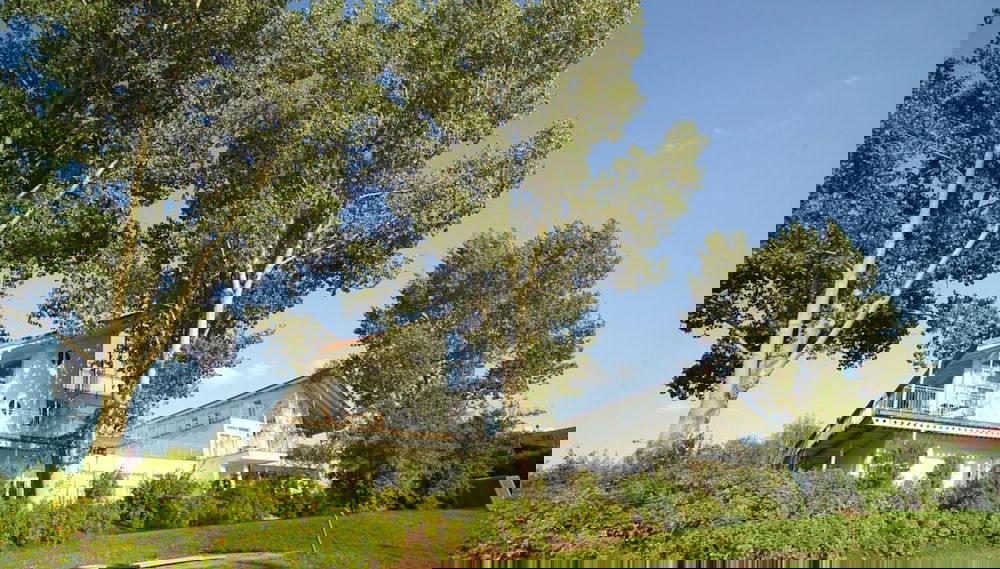 Elegant Eingerichtete Ferienwohnung - Foto 1, Profilbild