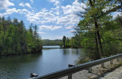 Cozy Swamp Rabbit - Sans Souci Greenville Furman - Foto 22