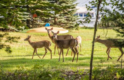 Porch in the Pines in Eagle River WI - Photo 43