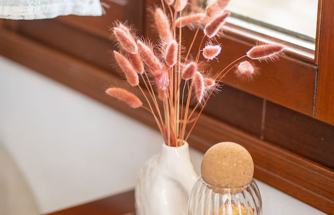 Mirsini Apartments in Sifnos - Foto 45